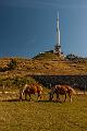 2015-08-02 Puy De Dome, Puy De La Vache